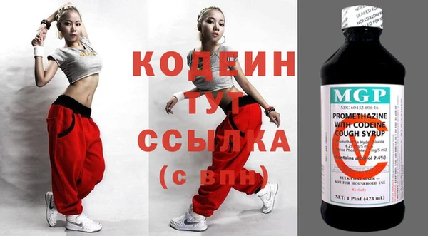 прущие грибы Гусев
