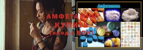 прущие грибы Гусев