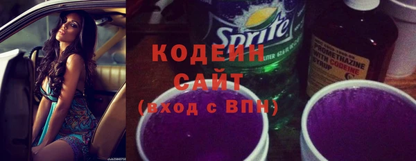 прущие грибы Гусев
