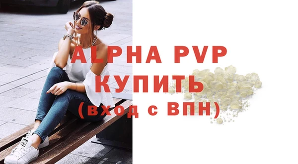 прущие грибы Гусев