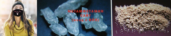 прущие грибы Гусев