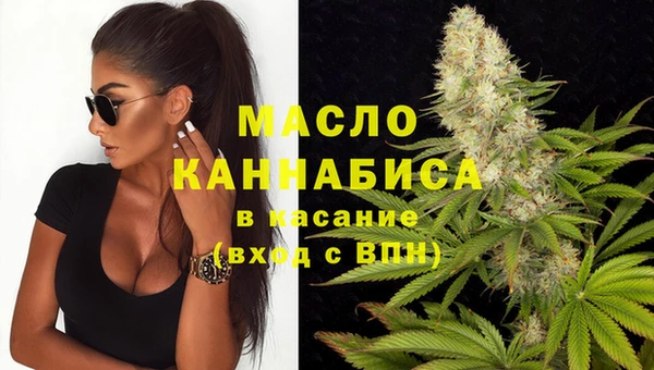прущие грибы Гусев