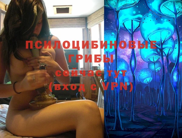 марки lsd Гусиноозёрск