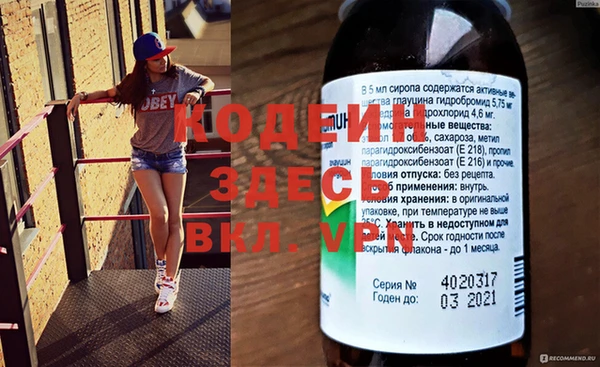 прущие грибы Гусев