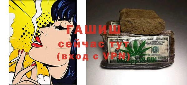 прущие грибы Гусев