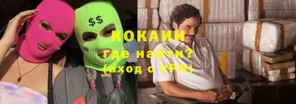 прущие грибы Гусев