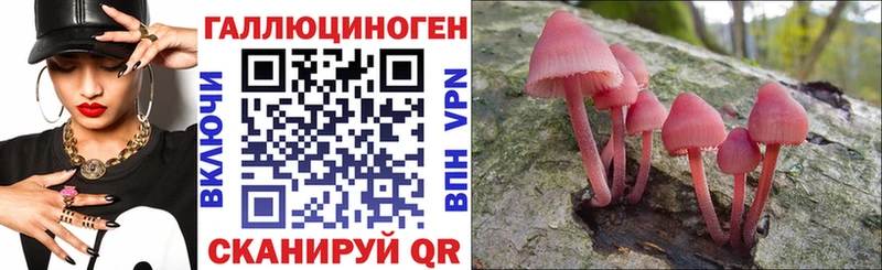 Галлюциногенные грибы MAGIC MUSHROOMS  Новодвинск 
