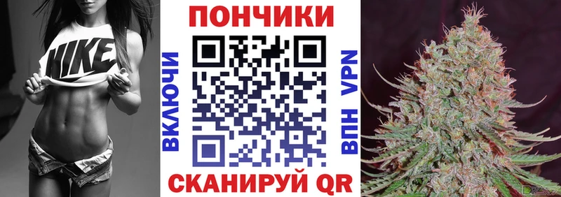 Шишки марихуана SATIVA & INDICA Новодвинск